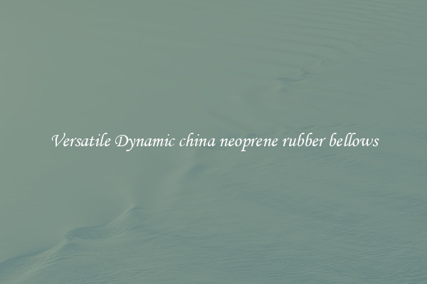 Versatile Dynamic china neoprene rubber bellows