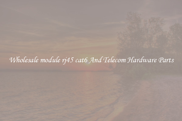 Wholesale module rj45 cat6 And Telecom Hardware Parts