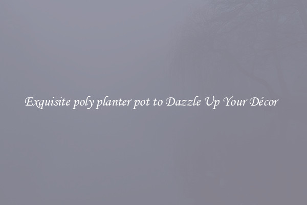 Exquisite poly planter pot to Dazzle Up Your Décor  