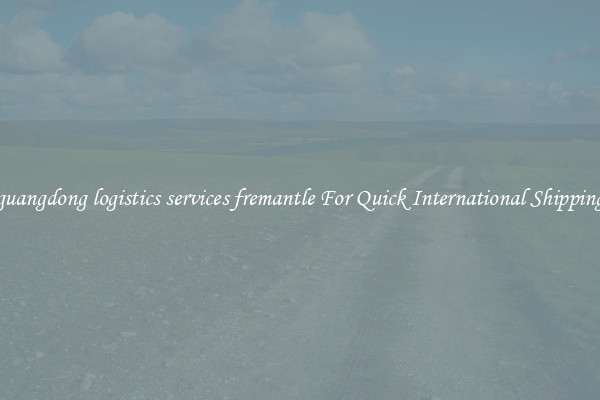 guangdong logistics services fremantle For Quick International Shipping