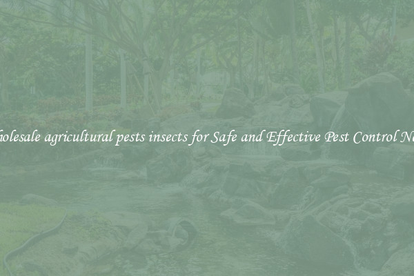Wholesale agricultural pests insects for Safe and Effective Pest Control Needs