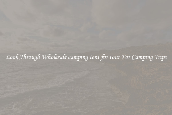 Look Through Wholesale camping tent for tour For Camping Trips