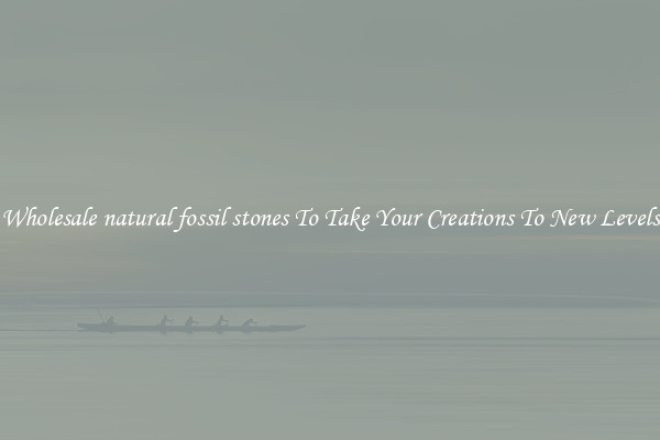 Wholesale natural fossil stones To Take Your Creations To New Levels