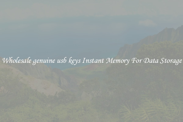 Wholesale genuine usb keys Instant Memory For Data Storage