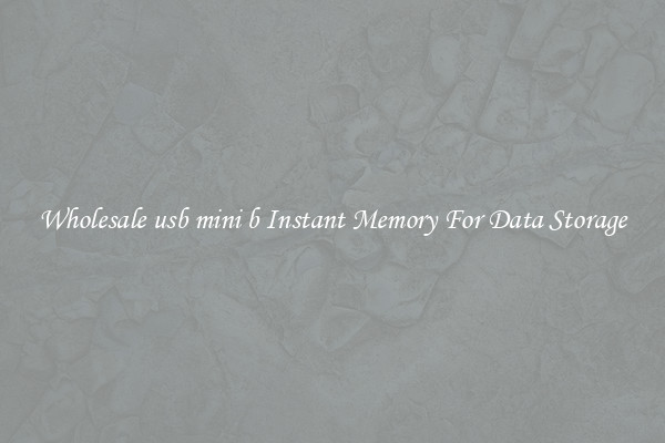 Wholesale usb mini b Instant Memory For Data Storage