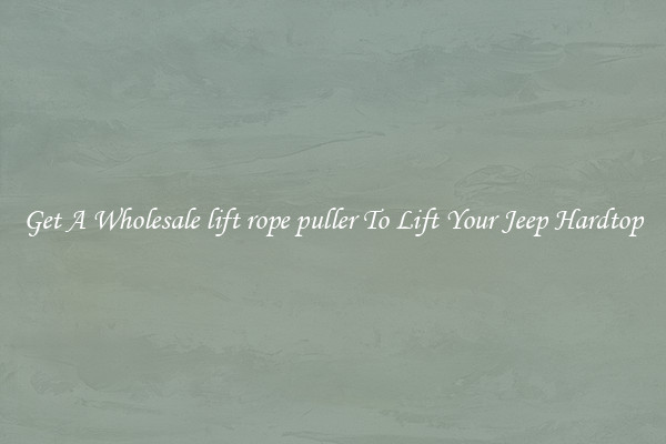 Get A Wholesale lift rope puller To Lift Your Jeep Hardtop