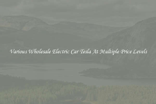 Various Wholesale Electric Car Tesla At Multiple Price Levels