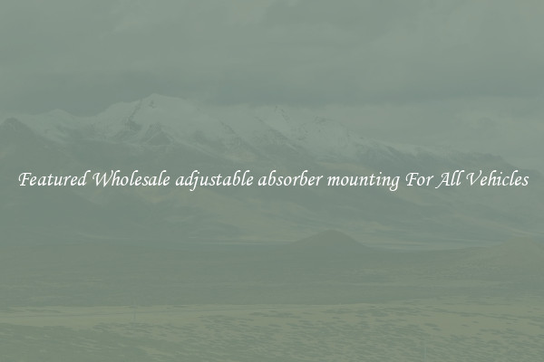 Featured Wholesale adjustable absorber mounting For All Vehicles