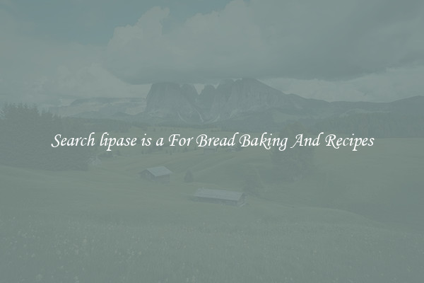 Search lipase is a For Bread Baking And Recipes