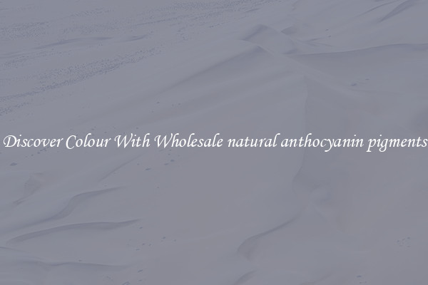 Discover Colour With Wholesale natural anthocyanin pigments