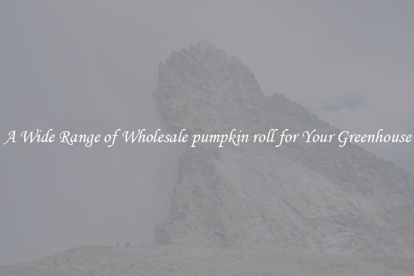 A Wide Range of Wholesale pumpkin roll for Your Greenhouse