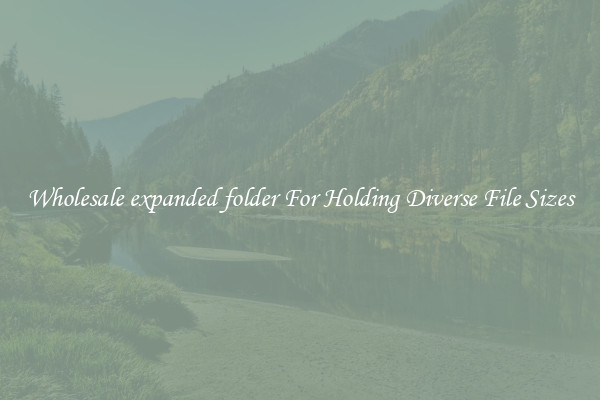 Wholesale expanded folder For Holding Diverse File Sizes
