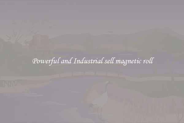 Powerful and Industrial sell magnetic roll